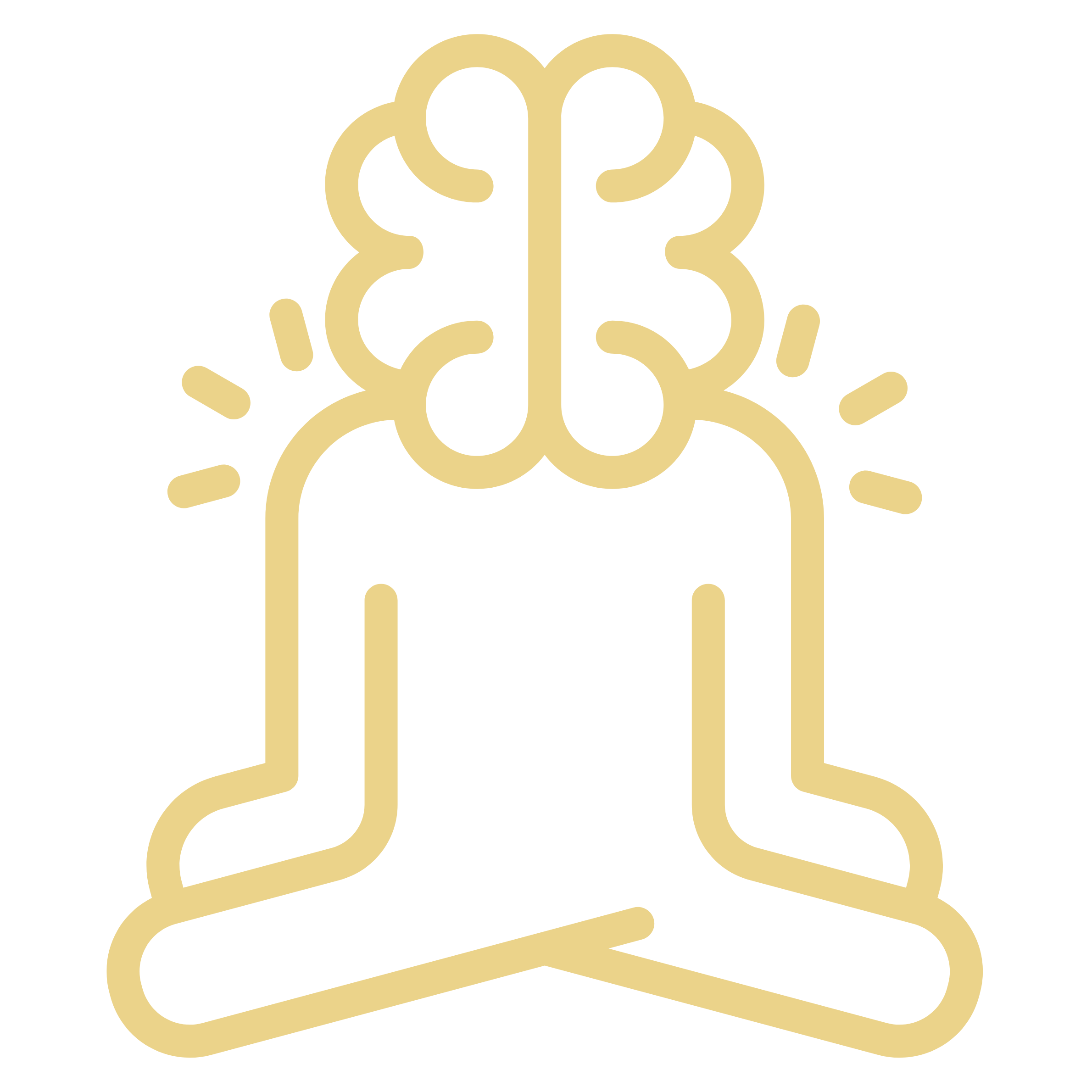 Understand your mind–body connection